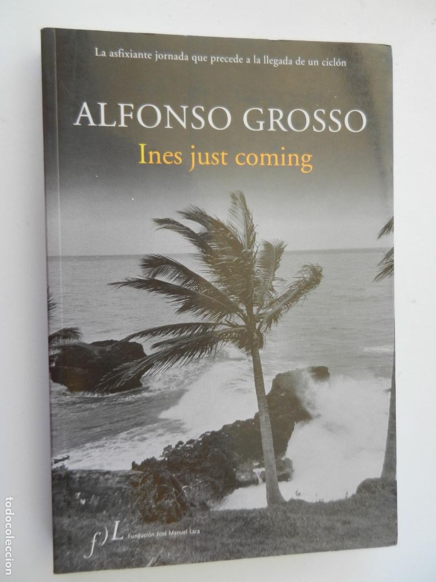 Libros de segunda mano: INES JUST COMING - ALFONSO GROSSO - FUNDACI&Oacute;N JOS&Eacute; MANUEL LARA 1&ordf; EDICI&Oacute;N 2006.