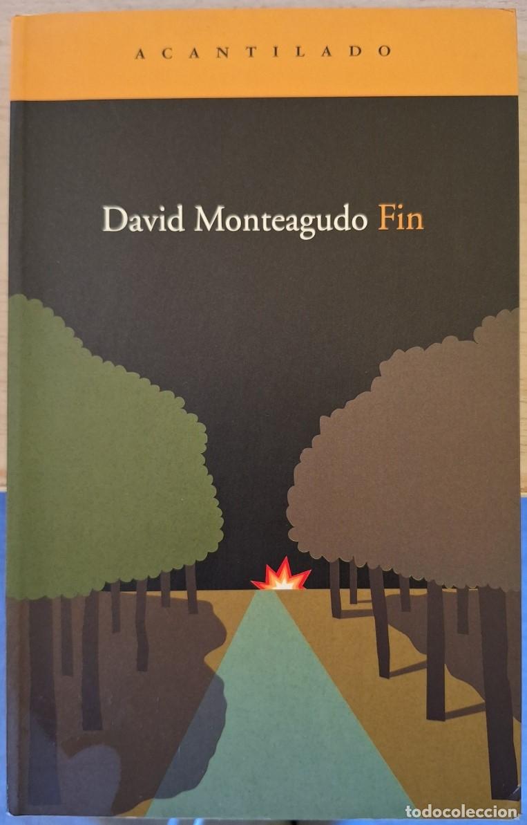 Libros de segunda mano: FIN. - MONTEAGUDO, David.