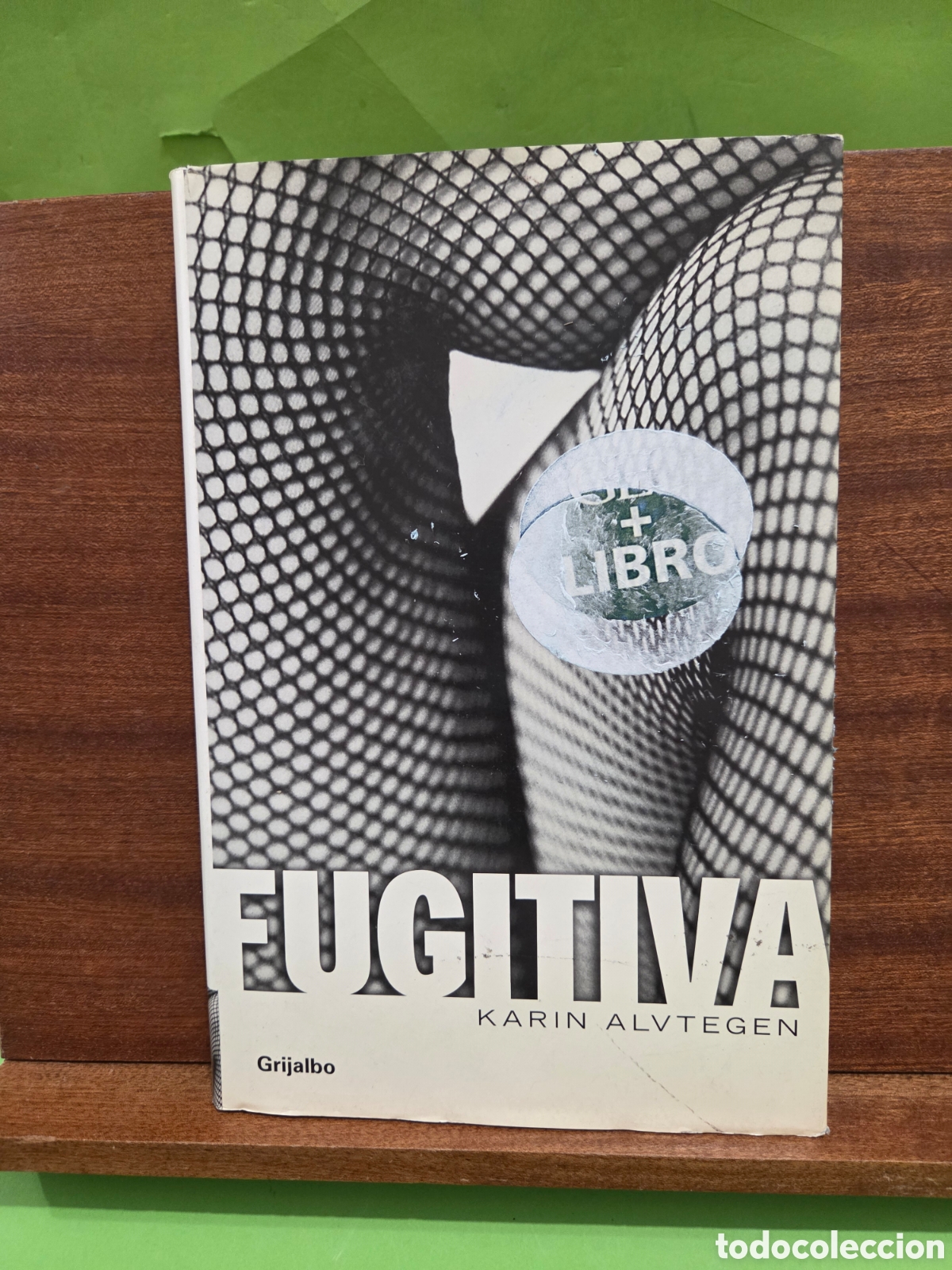Libros de segunda mano: &rdquo;&rdquo;FUGITIVA&rdquo;&rdquo;...KARIN ALVTEGEN...GRIJALBO...2003...
