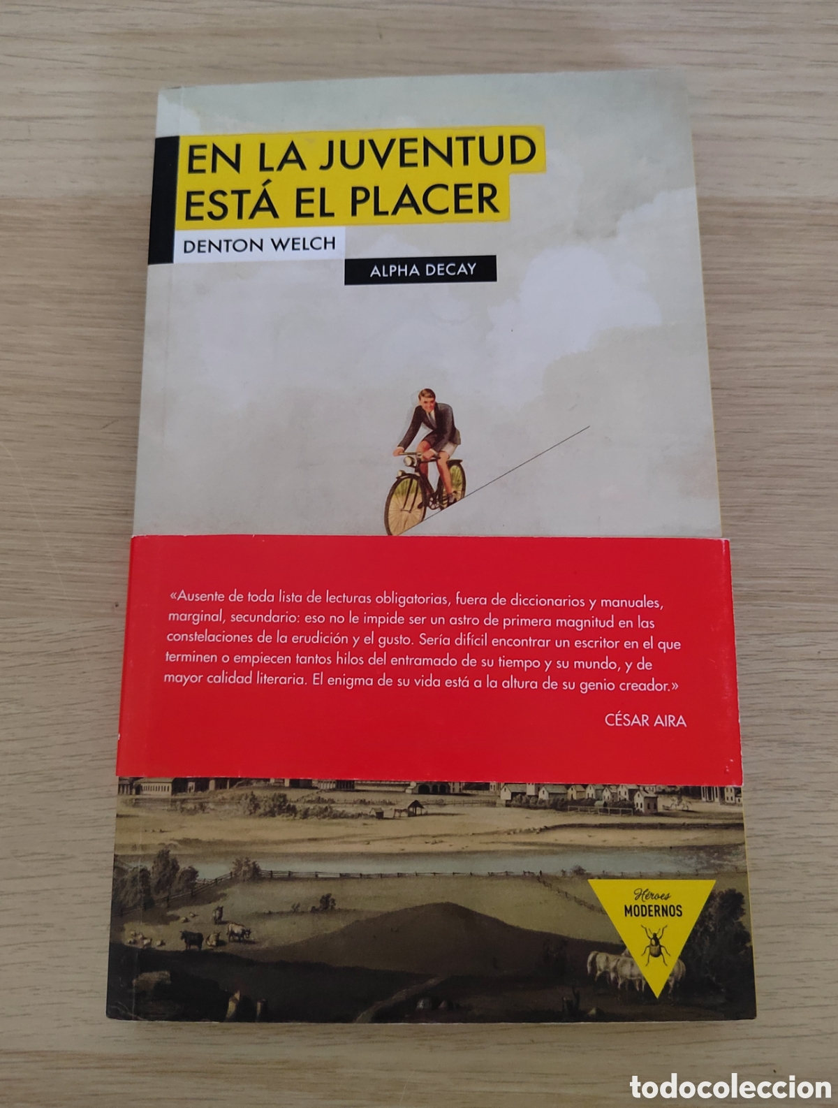 Libros de segunda mano: En la juventud est&aacute; el placer - Denton Welch