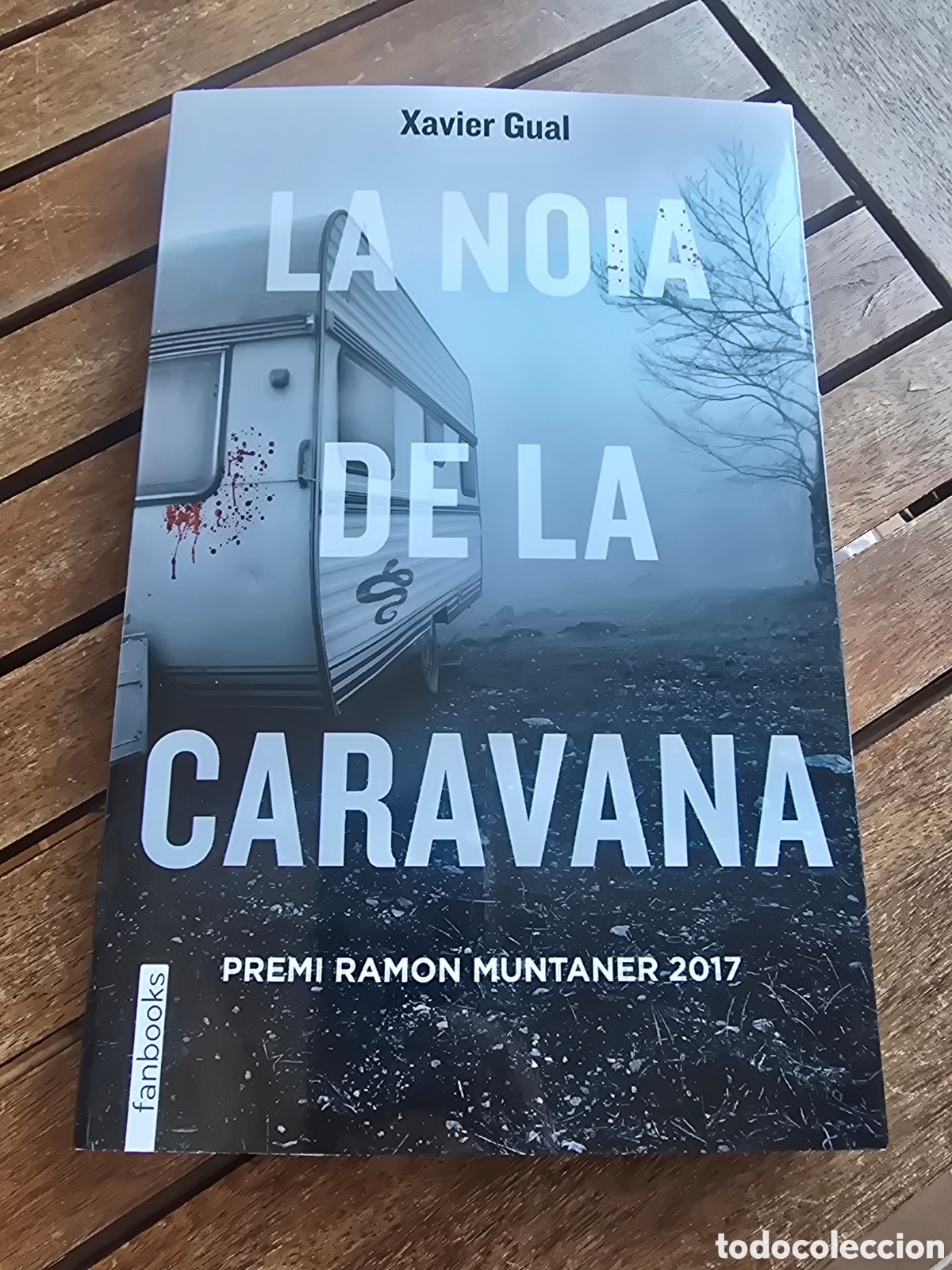 Libros de segunda mano: LA NOIA DE LA CARAVANA Gual, Xavier Editorial FANBOOKS 2026 novela CATAL&Aacute;N