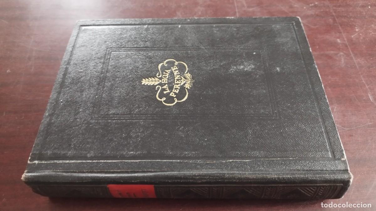 Libros de segunda mano: LA HOJA PERENNE / BABBITT / CJA 407 / MATEU cubierta en interior