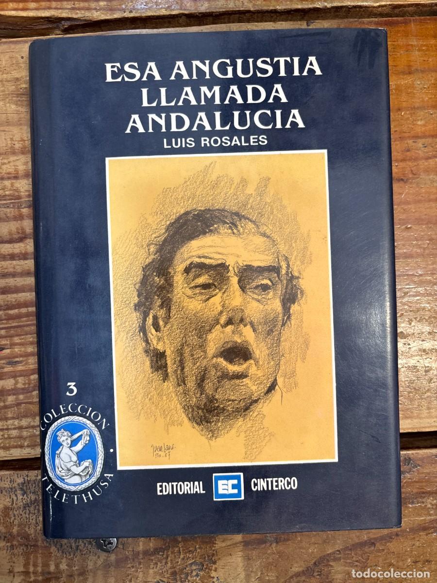 Libros de segunda mano: Esa Angustia Llamada Andalucia Rosales, Luis Idioma: Espa&ntilde;ol