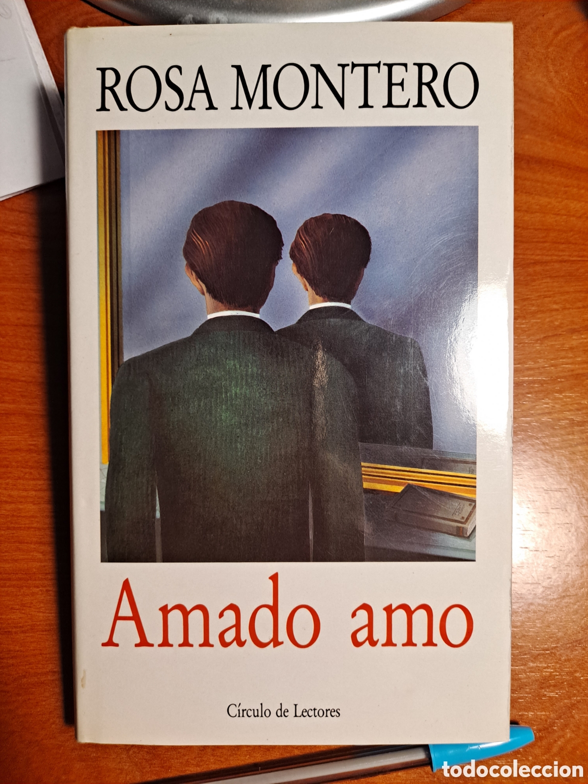 Libros de segunda mano: Libro &rdquo;Amado amo&rdquo;, Rosa Montero