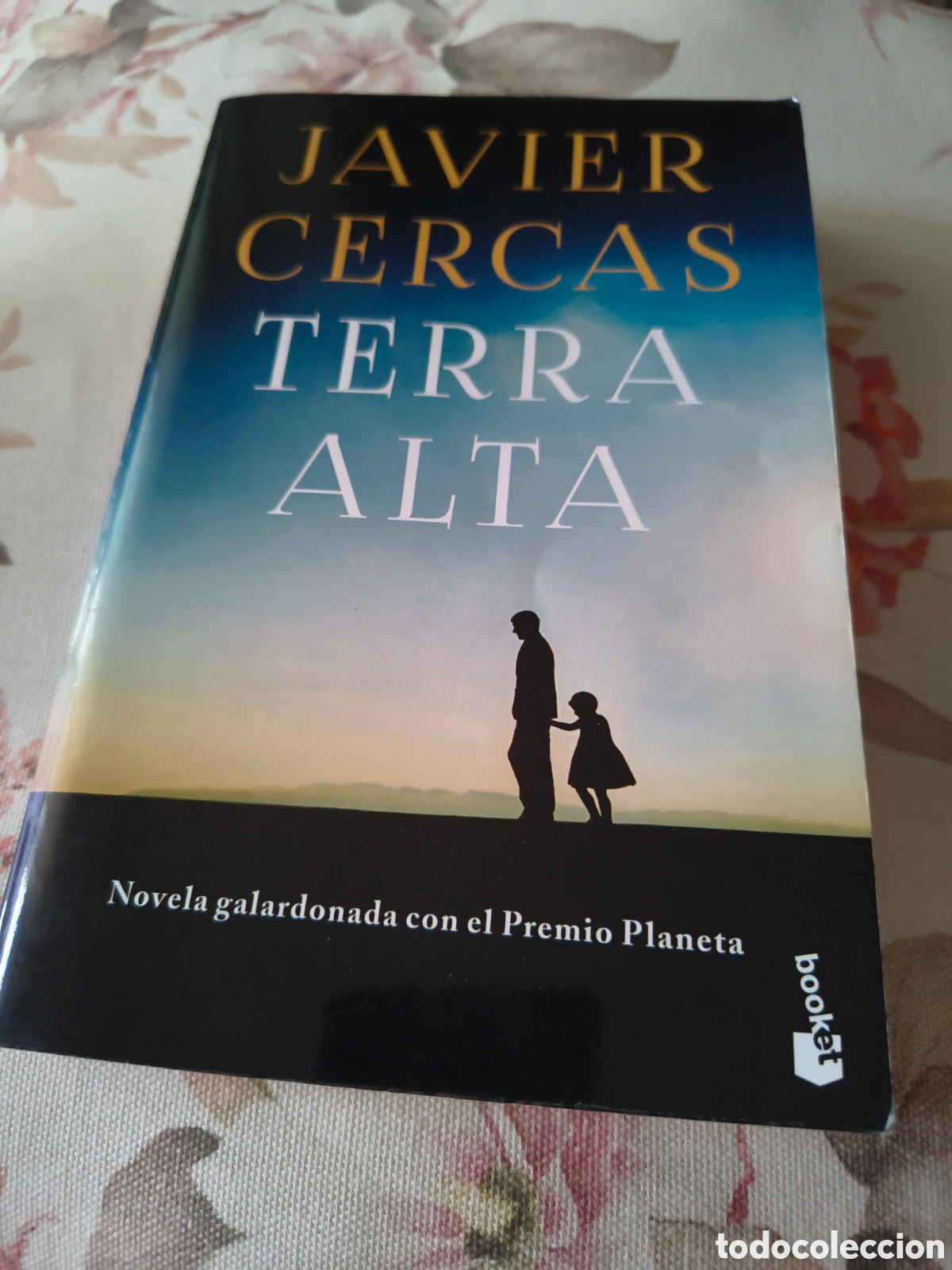 Libros de segunda mano: TERRA ALTA DE JAVIER CERCAS (BOOKET, PLANETA)