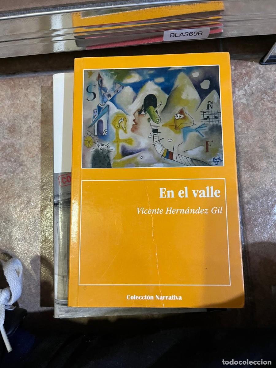 Libros de segunda mano: BLAS69B + En el valle &ndash; Vicente Hern&aacute;ndez Gil &ndash; Colecci&oacute;n Narrativa &ndash;