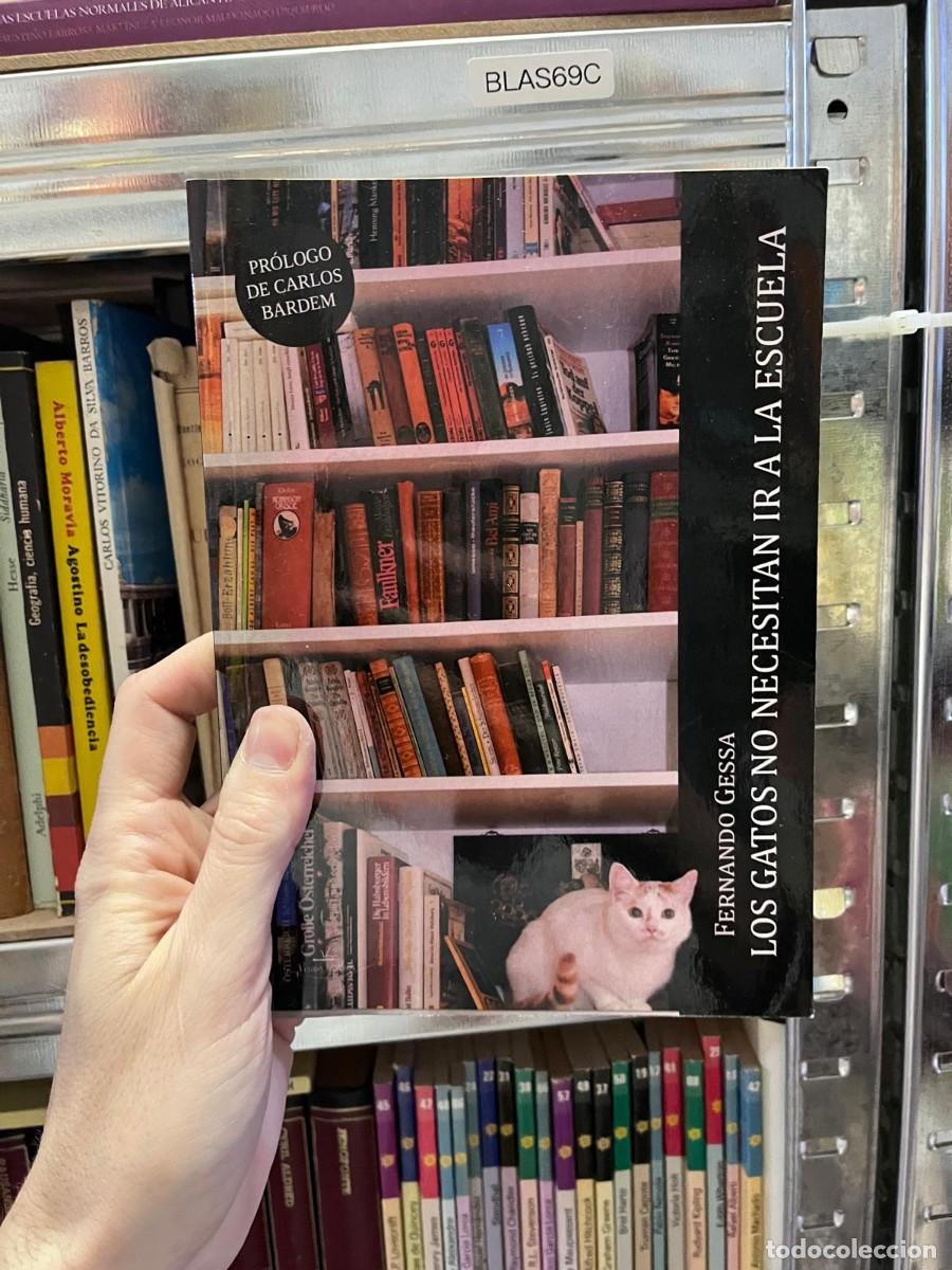 Libros de segunda mano: BLAS69C FERNANDO GESSA LOS GATOS NO NECESITAN IR A LA ESCUELA