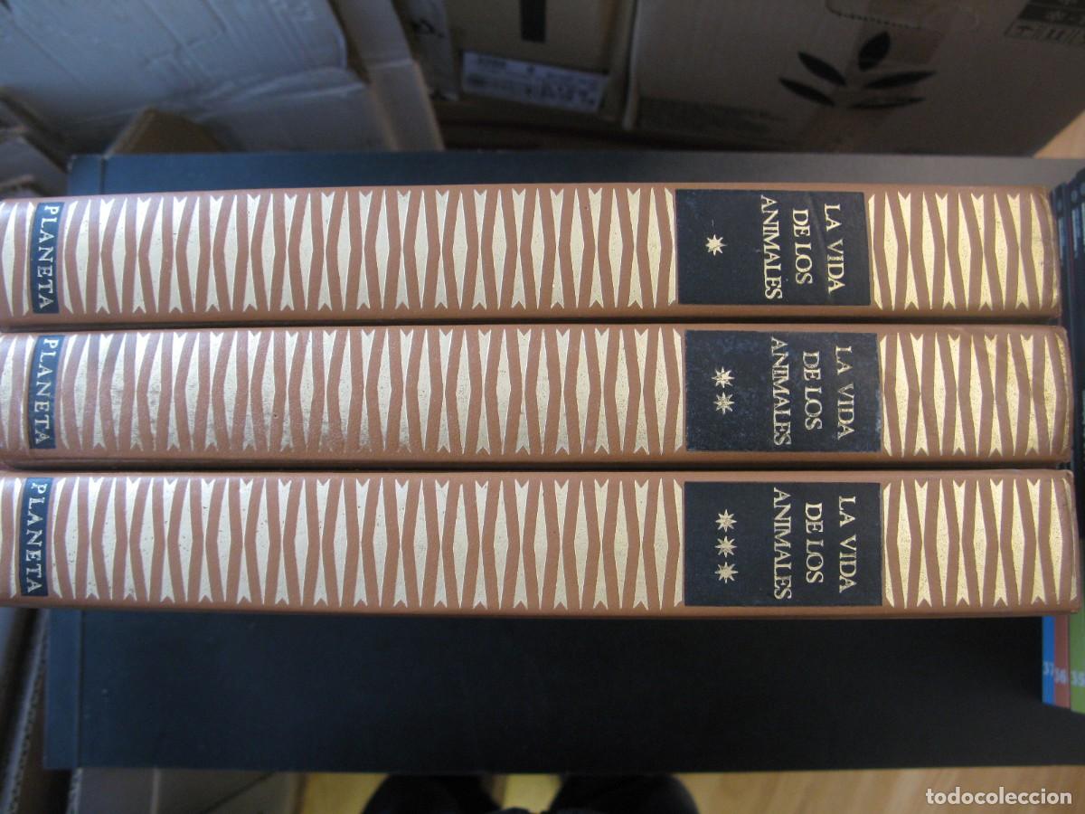 Libros de segunda mano: LA VIDA DE LOS ANIMALES -PLANETA - 3 TOMOS -