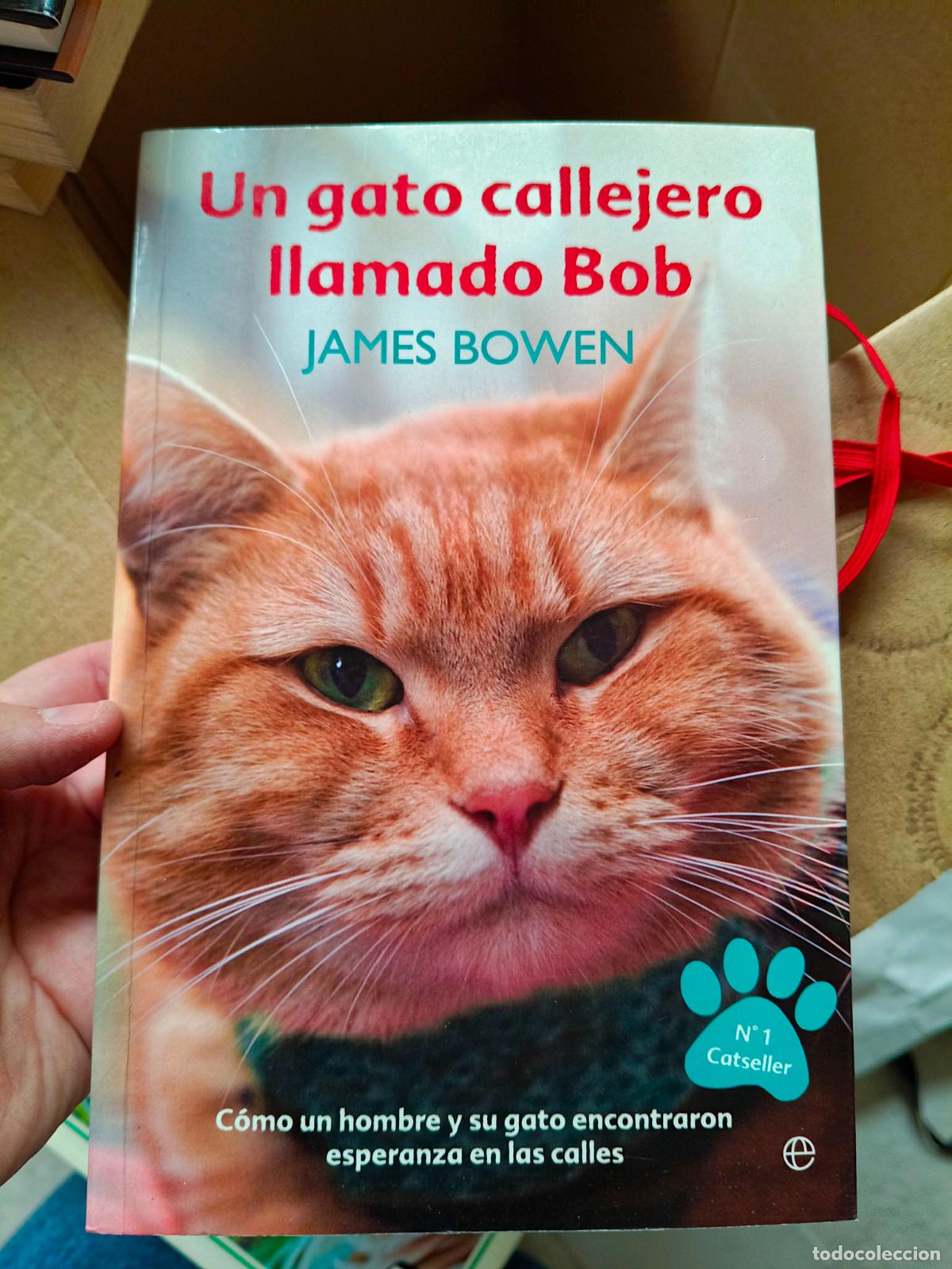 Libros de segunda mano: UN GATO CALLEJERO LLAMADO BOB - BOWDEN, JAMES