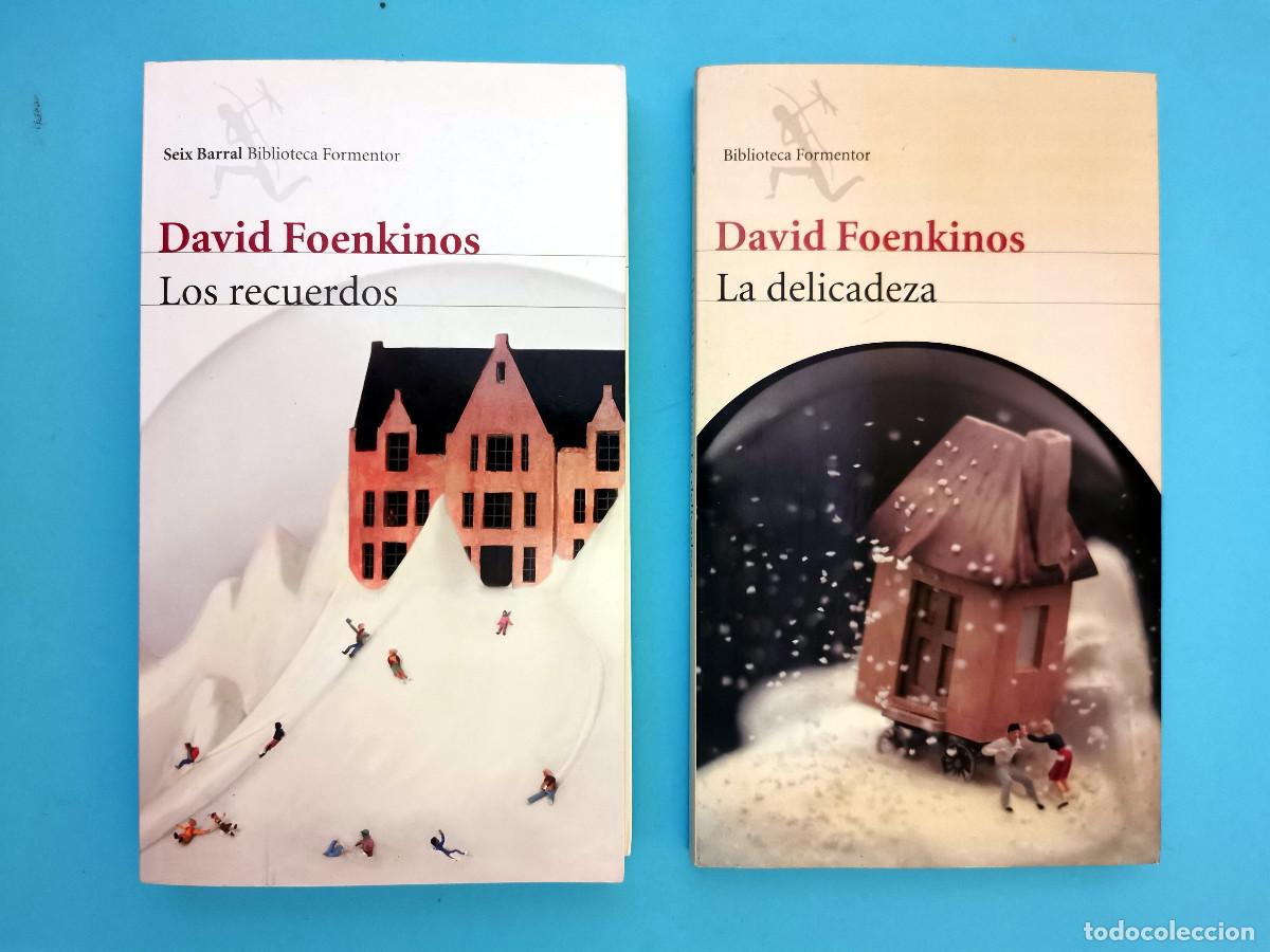 Libros de segunda mano: David Foenkinos: Los recuerdos + La delicadeza