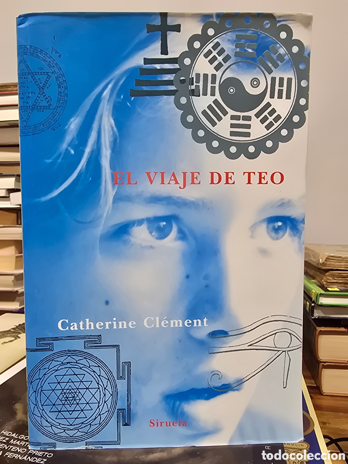 Libros de segunda mano: EL VIAJE DE TEO Catherine Clement SIRUELA 2006 novela pedagogica religion