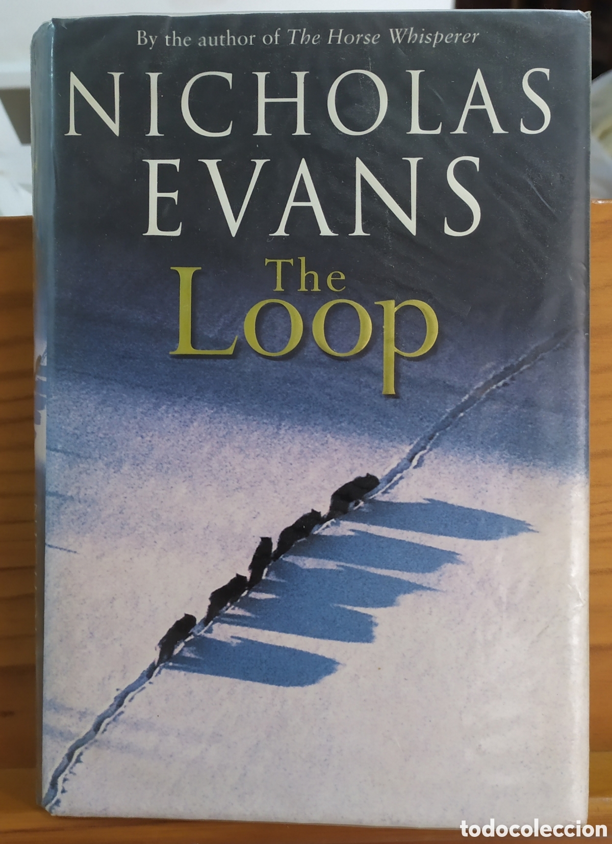 Libros de segunda mano: The loop (English Edition) - Nicholas Evans
