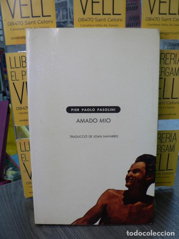 Libros de segunda mano: Amado Mio (catalan edition) - Pasolini, Pier Paolo - Edicions del Mall - Narrativa del Segle XX