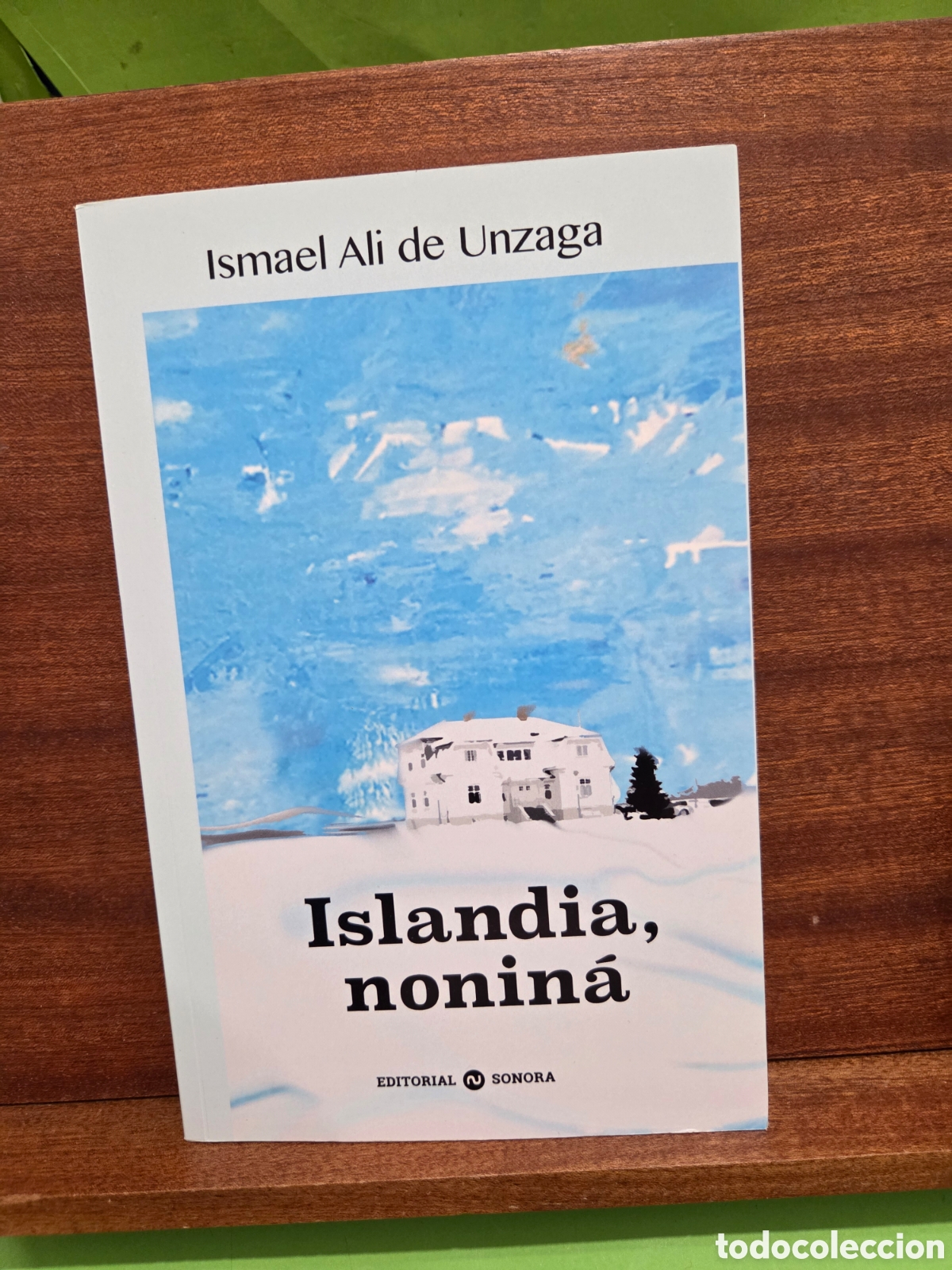 Libros de segunda mano: &rdquo;&rdquo;ISLANDIA, NONIN&Agrave;&rdquo;&rdquo;...ISMAEL ALI DE UNZAGA...EDITORIAL SONORA...2018...