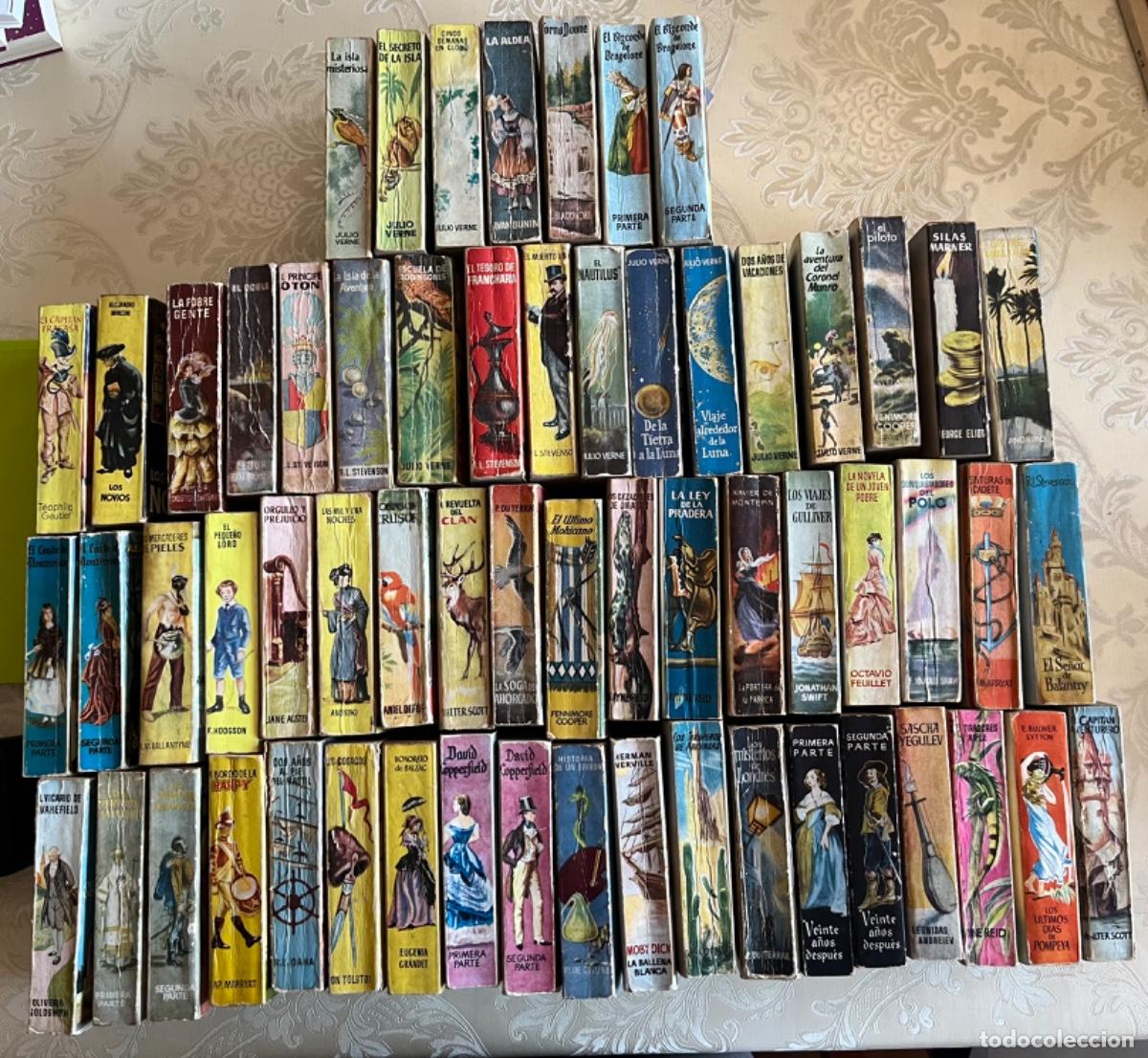 Libros de segunda mano: Lote 61 libros colecci&oacute;n Pulga Gigante