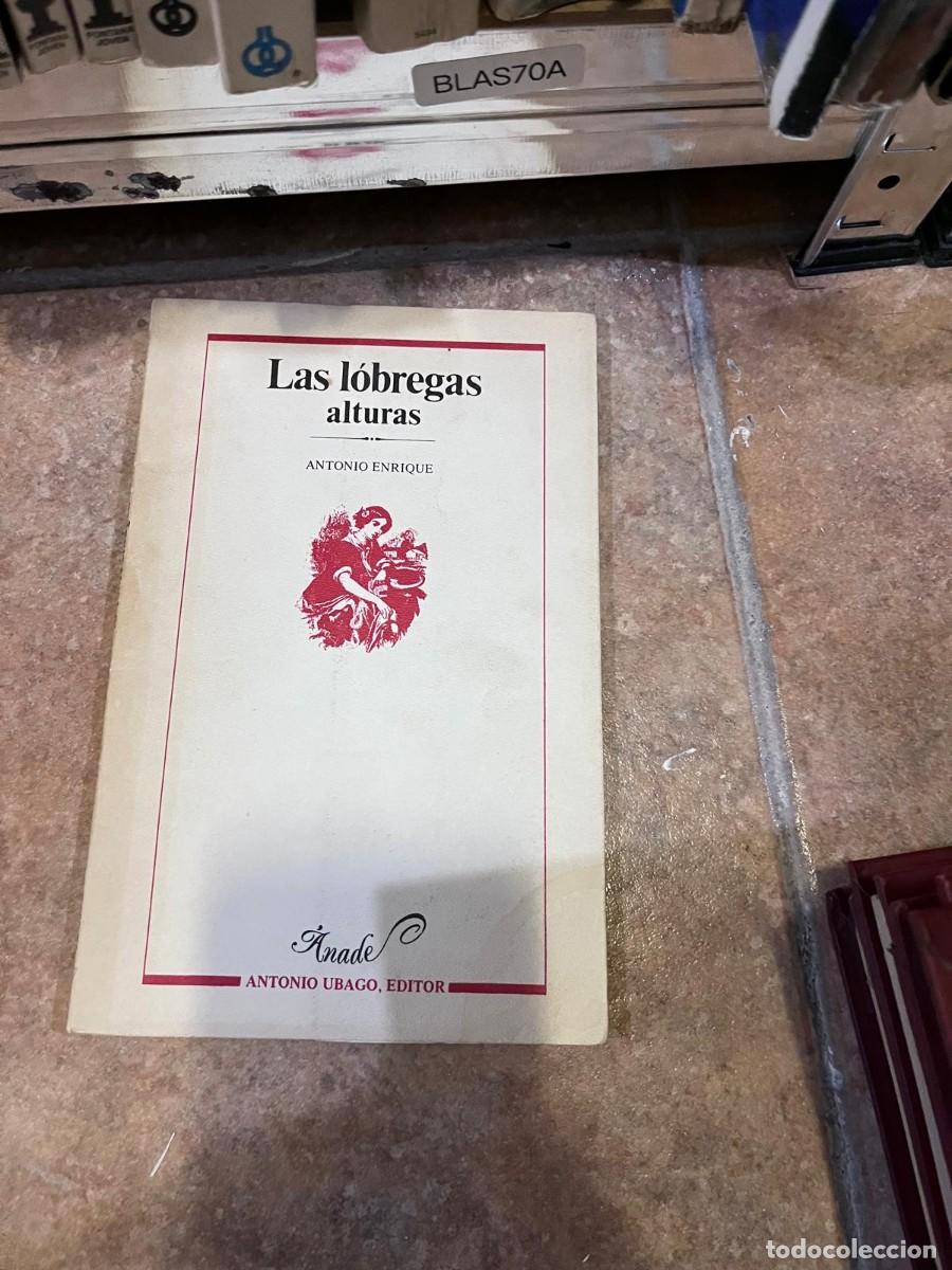 Second hand books: BLAS70A &mdash; Las l&oacute;bregas alturas &mdash; Antonio Enrique &mdash;