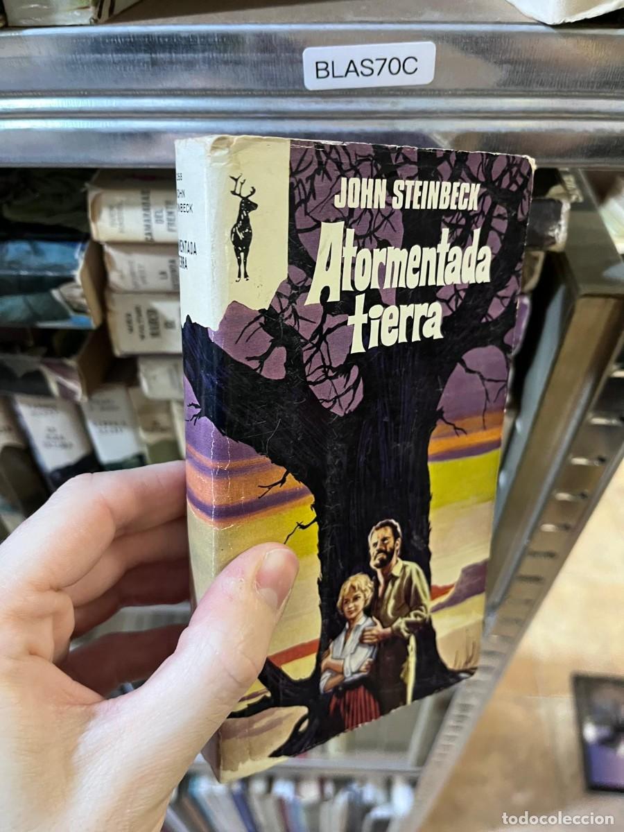 Libros de segunda mano: BLAS70C &mdash; Atormentada tierra &mdash; John Steinbeck &mdash; Plaza & Jan&eacute;s (colecci&oacute;n Reno)