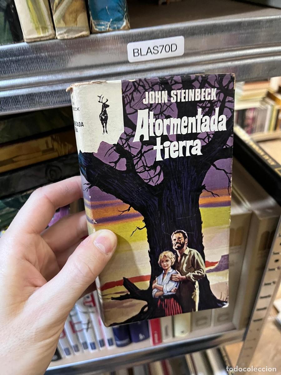Libros de segunda mano: BLAS70D &mdash; Atormentada tierra &mdash; John Steinbeck &mdash; Plaza & Jan&eacute;s (colecci&oacute;n Reno)