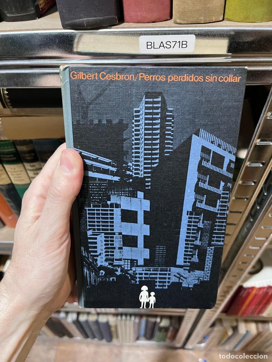 Libros de segunda mano: BLAS71B &mdash; Perros perdidos sin collar &mdash; Gilbert Cesbron
