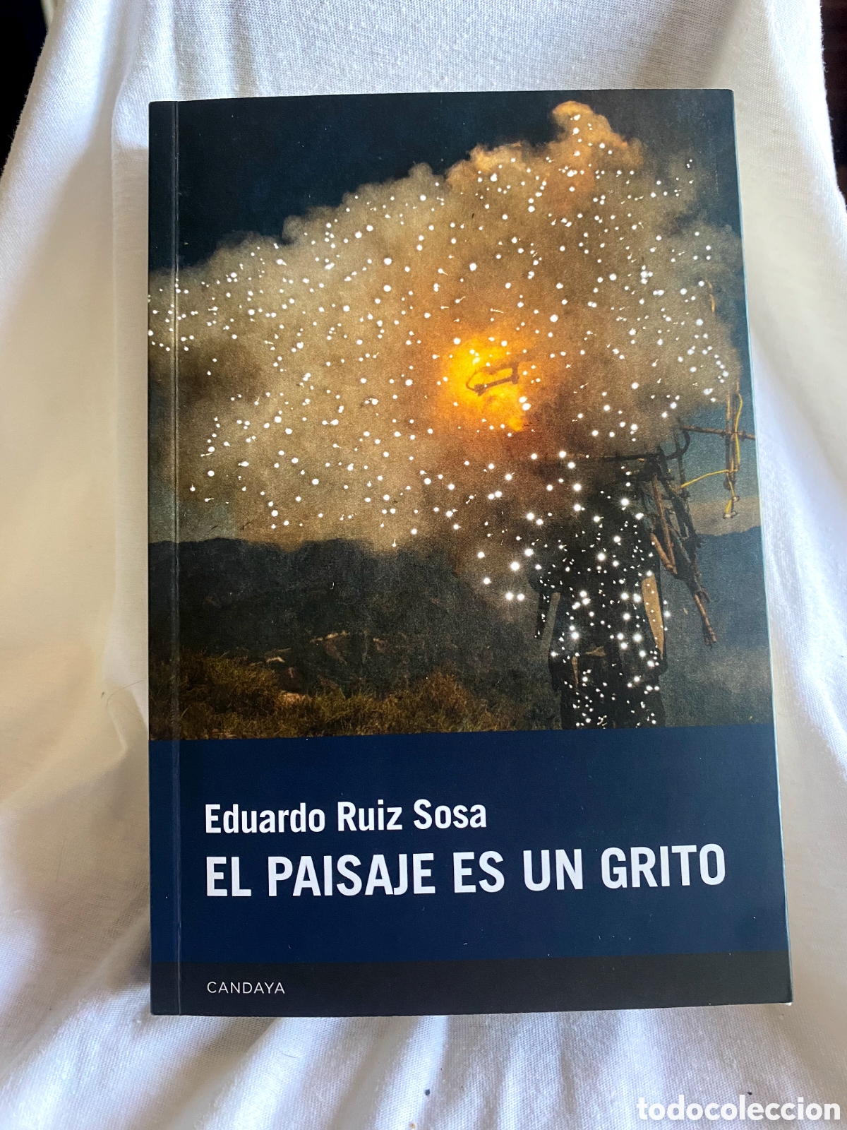 Libros de segunda mano: PAISAJE ES UN GRITO, EL - RUIZ SOSA, EDUARDO
