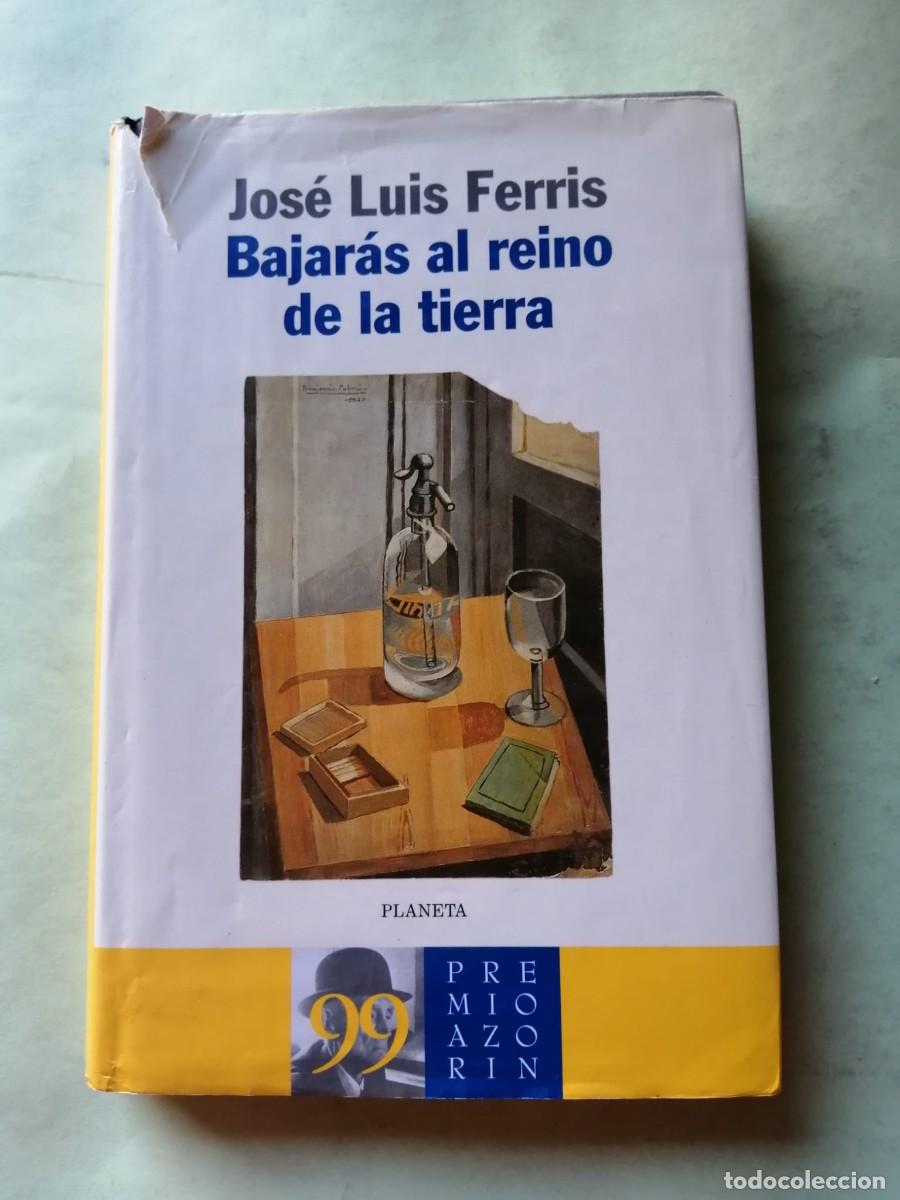 Libros de segunda mano: BAJARAS AL REINO DE LA TIERRA (JOSE LUIS FERRIS)