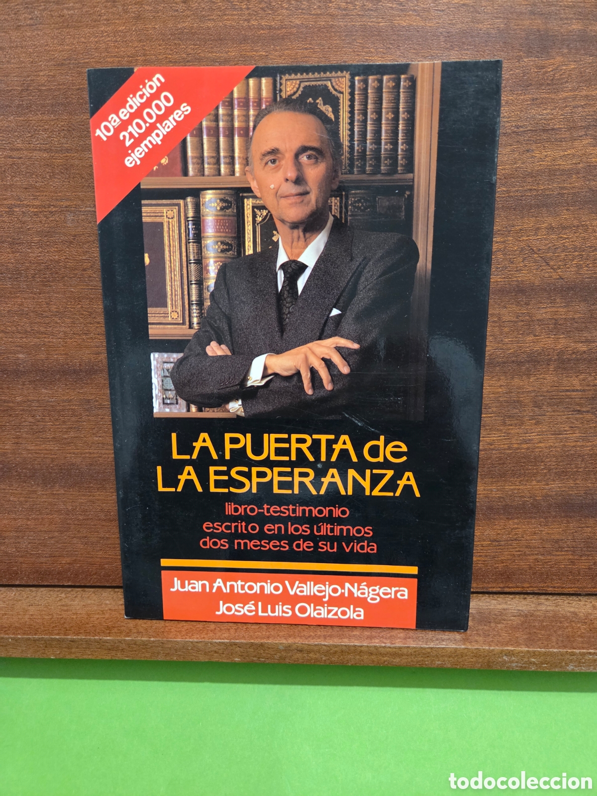 Libros de segunda mano: JOSE ANTONIO VALLEJO-NAGERA...&rdquo;&rdquo;LA PUERTA DE LA ESPERANZA&rdquo;&rdquo;...E. RIALP...1990...