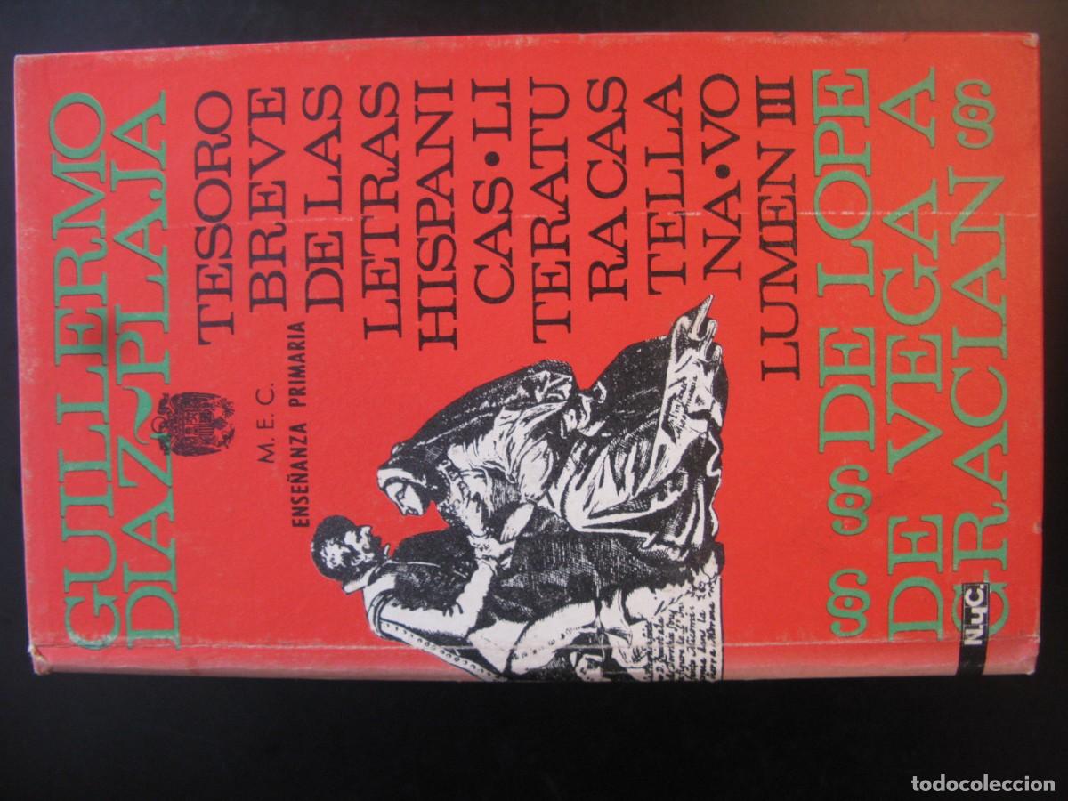Libros de segunda mano: Tesoro Breve de las Letras Hisp&aacute;nicas Literatura Castellana Volumen V De Lope de Vega a Gracian