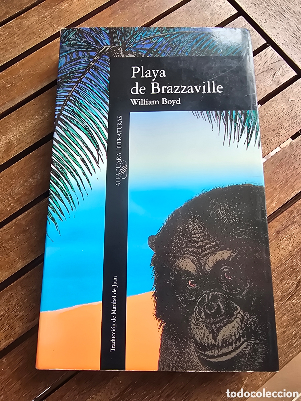 Libros de segunda mano: PLAYA DE BRAZZAVILLE William Boyd ALFAGUARA 1991 novela