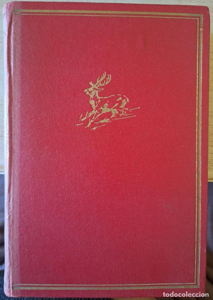 Gebrauchte B&uuml;cher: VEINTE A&Ntilde;OS DE CAZA MAYOR. PROLOGO DE JOSE ORTEGA Y GASSET. - YEBES, Conde de.