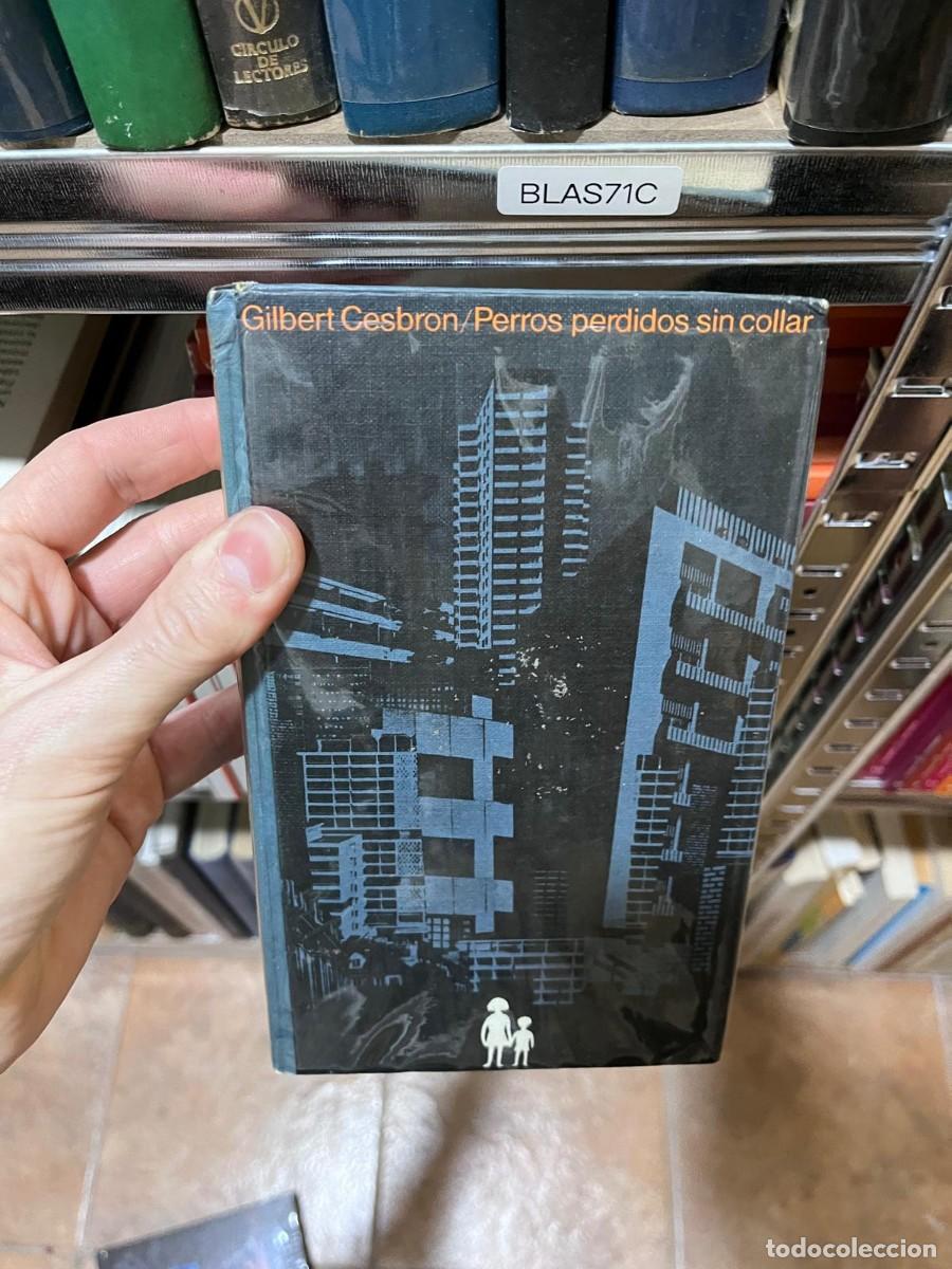 Libros de segunda mano: BLAS71C - Perros perdidos sin collar &mdash; Gilbert Cesbron