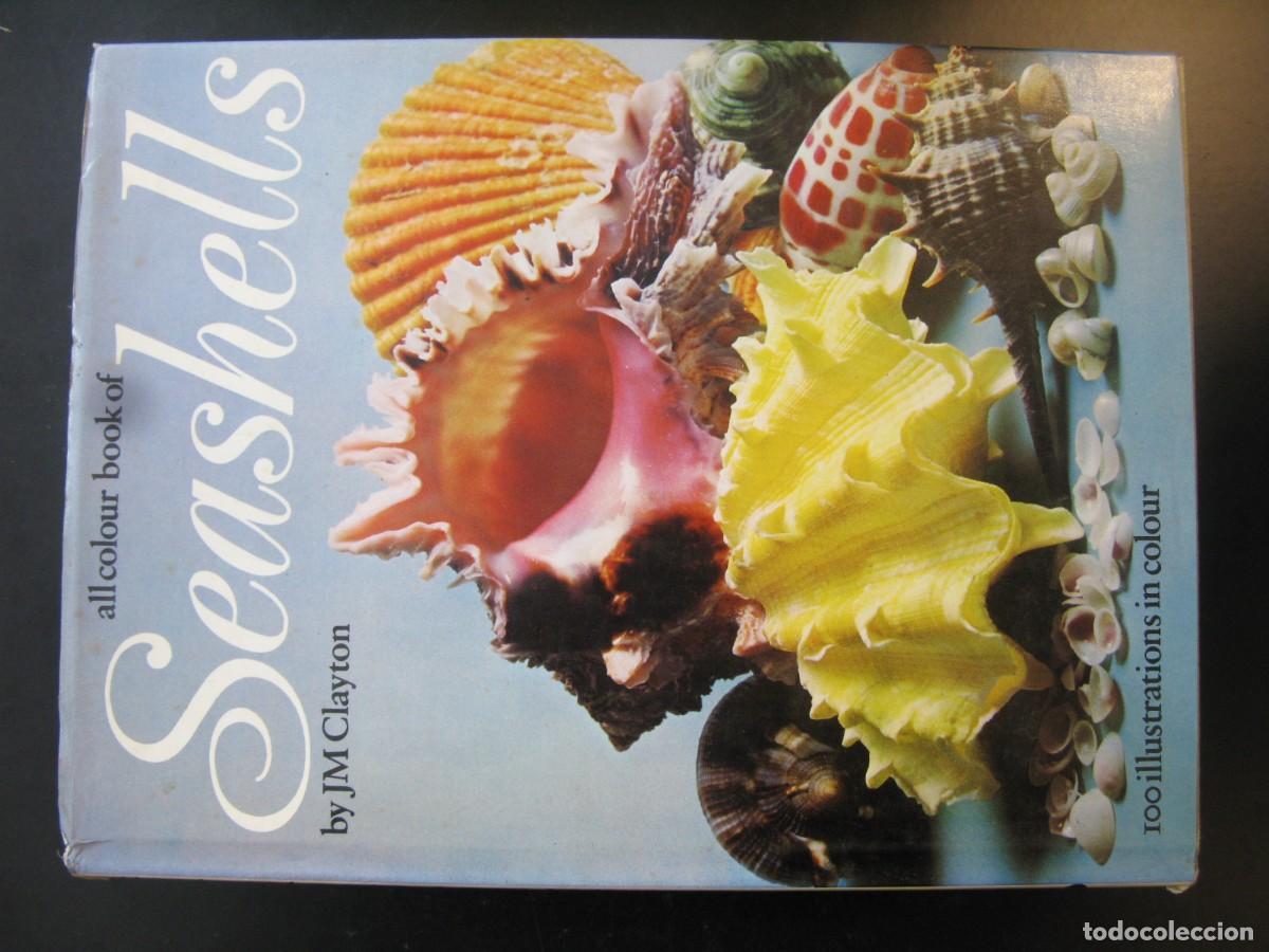 Libros de segunda mano: All Color Book of Seashells - J M Clayton