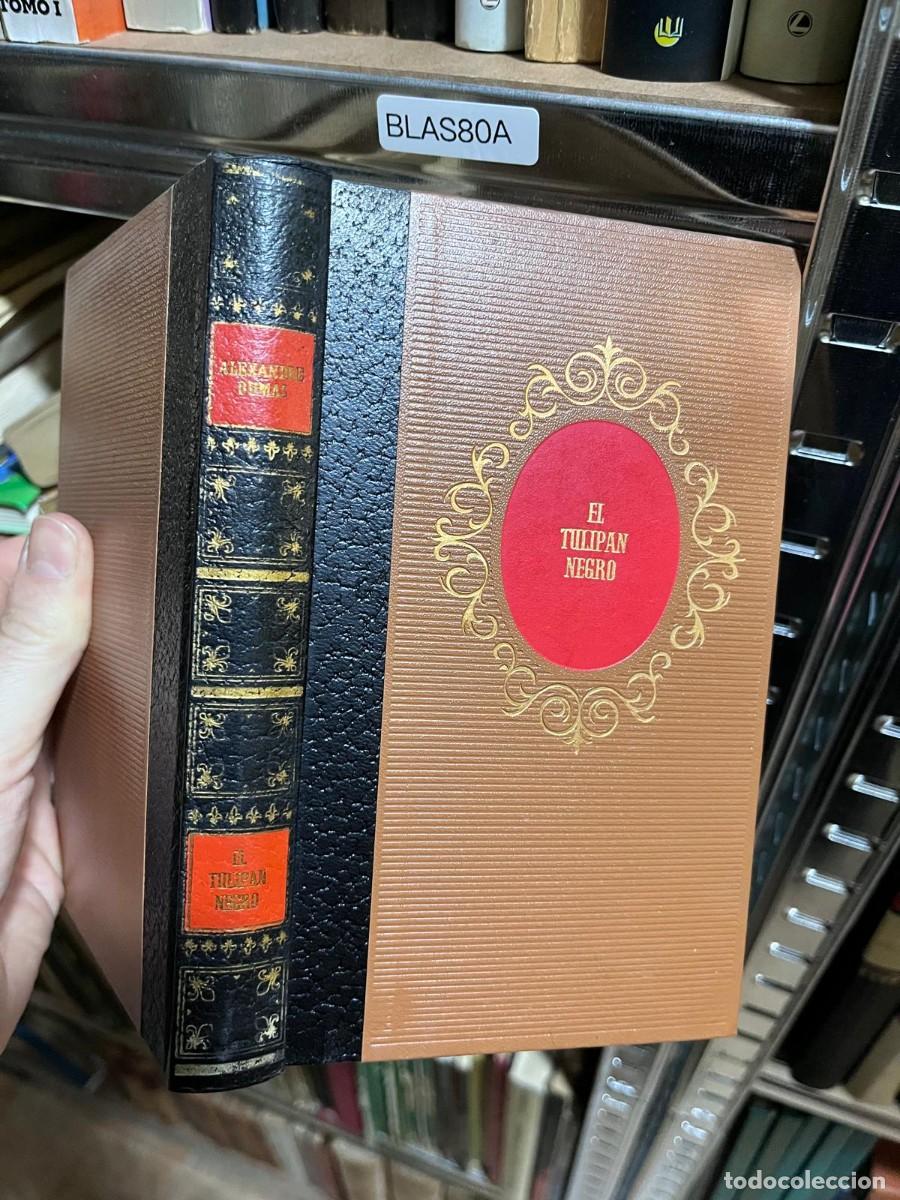 Libros de segunda mano: BLAS80A DUMAS , ALEJANDRO, El tulip&aacute;n negro