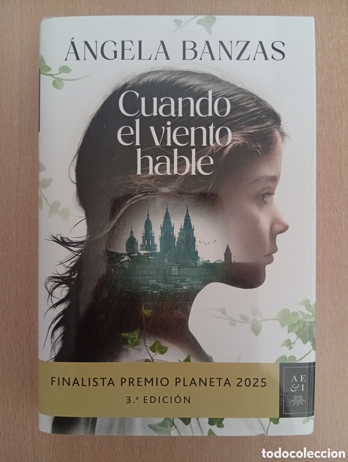 Libros de segunda mano: CUANDO EL VIENTO HABLE. &Aacute;ngela Banzas