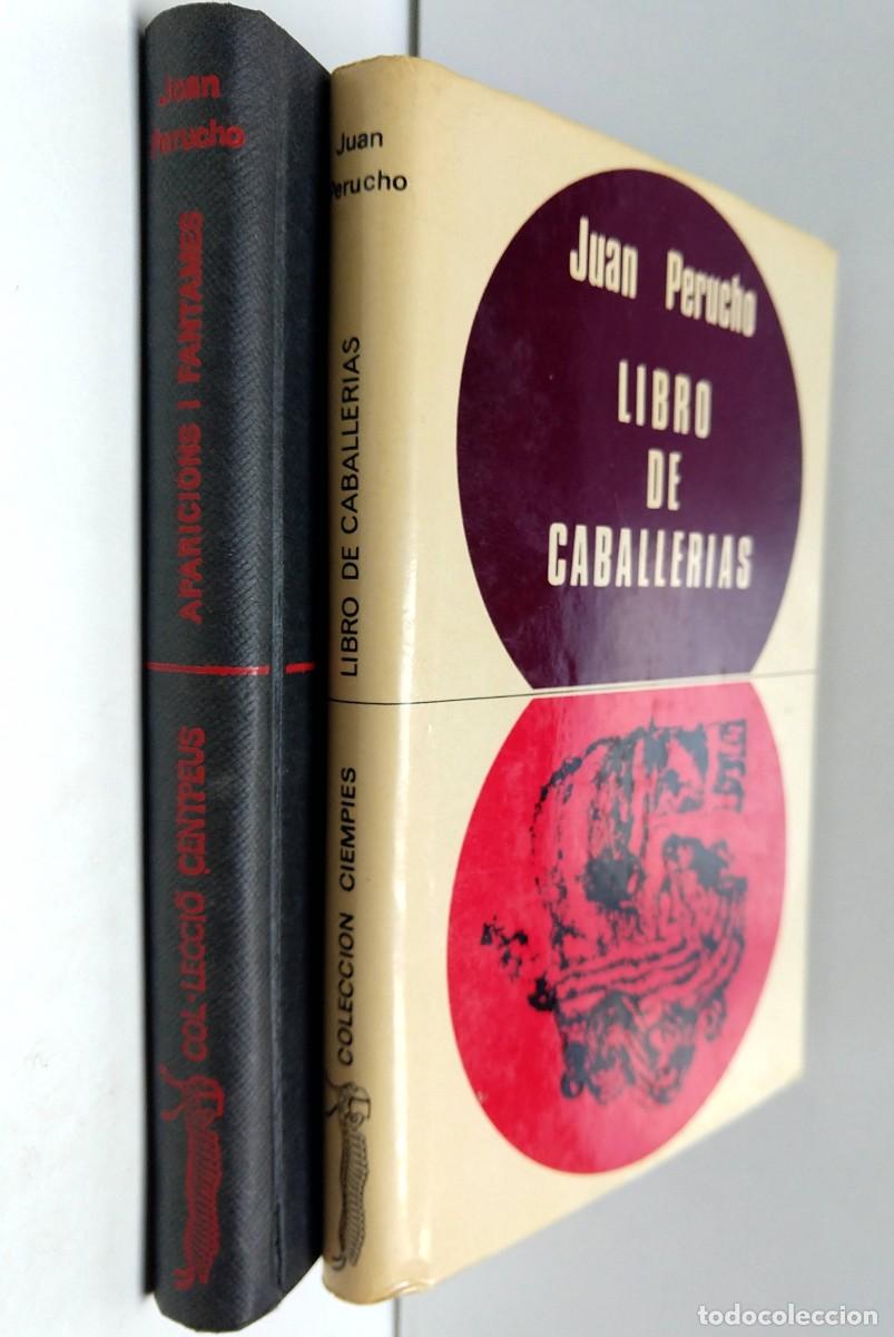 Libros de segunda mano: LOTE Juan Perucho - Apariciones y Fantasmas, Libro de Caballer&iacute;as - col. CIEMPIES