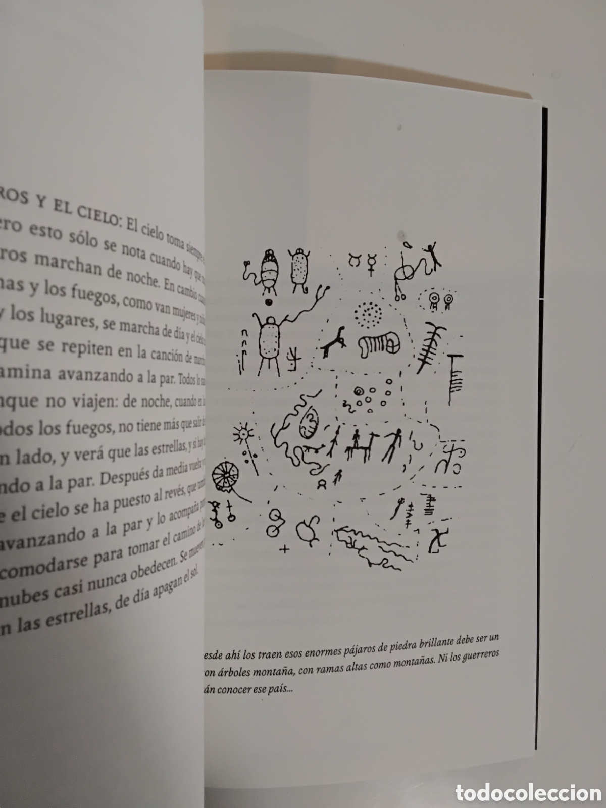 Libros de segunda mano: Fogwill &mdash; Runa &mdash; Interzona Editora, 2013 - Foto 4