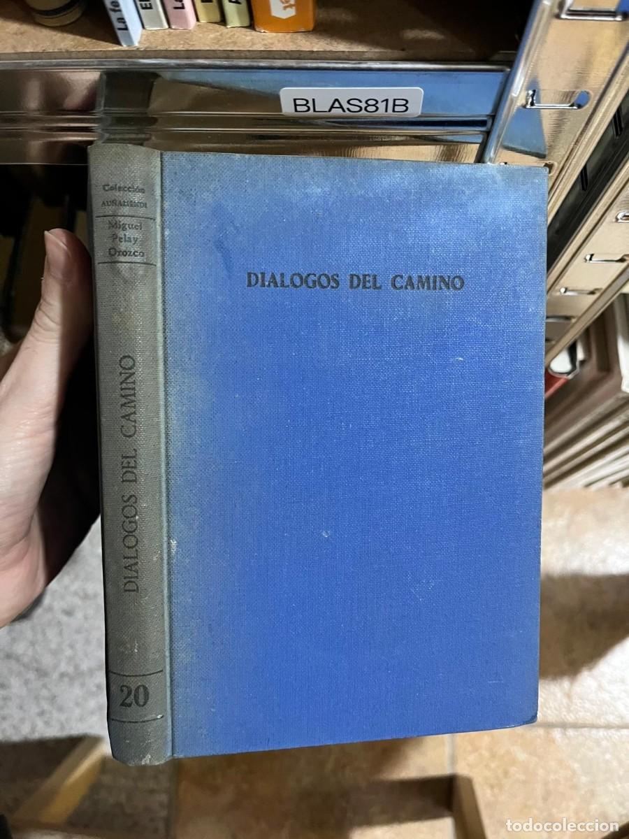 Libri di seconda mano: BLAS81B &mdash; Di&aacute;logos del camino &mdash; Miguel Delay Orozco &mdash; Colecci&oacute;n Austral