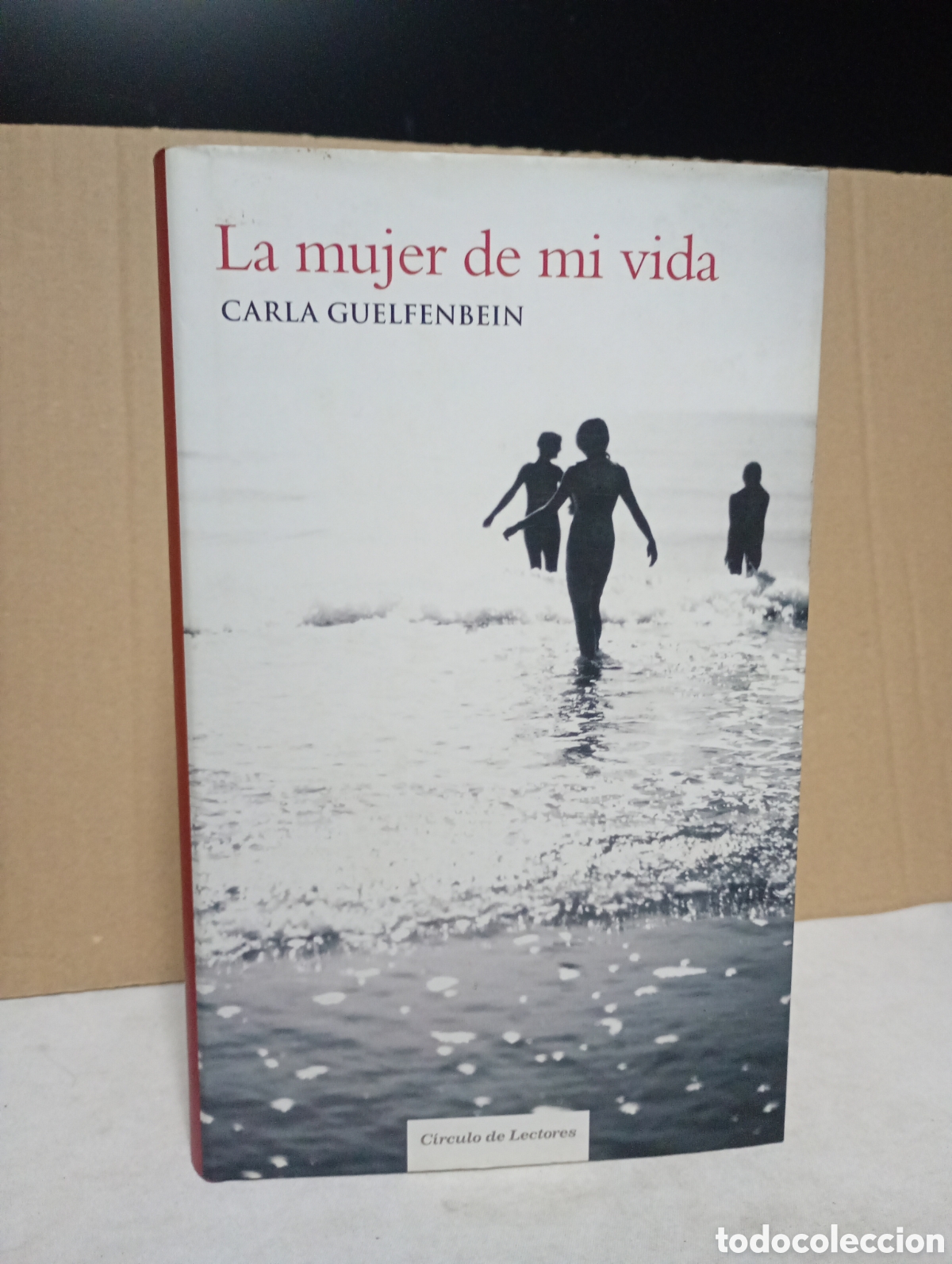 Libros de segunda mano: La mujer de mi vida de Carla Guelfenbein