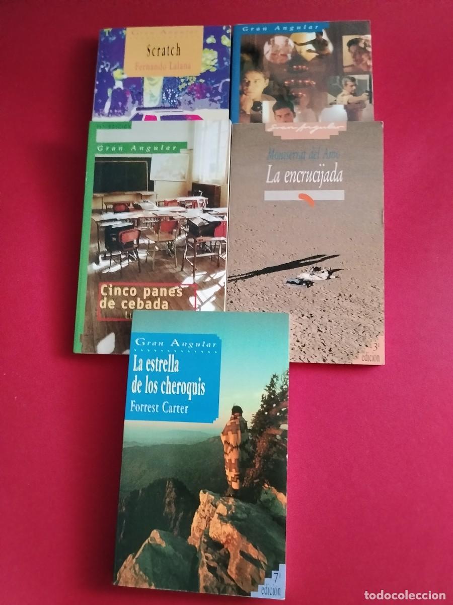 Gebrauchte B&uuml;cher: LOTE DE 5 LIBROS GRAN ANGULAR