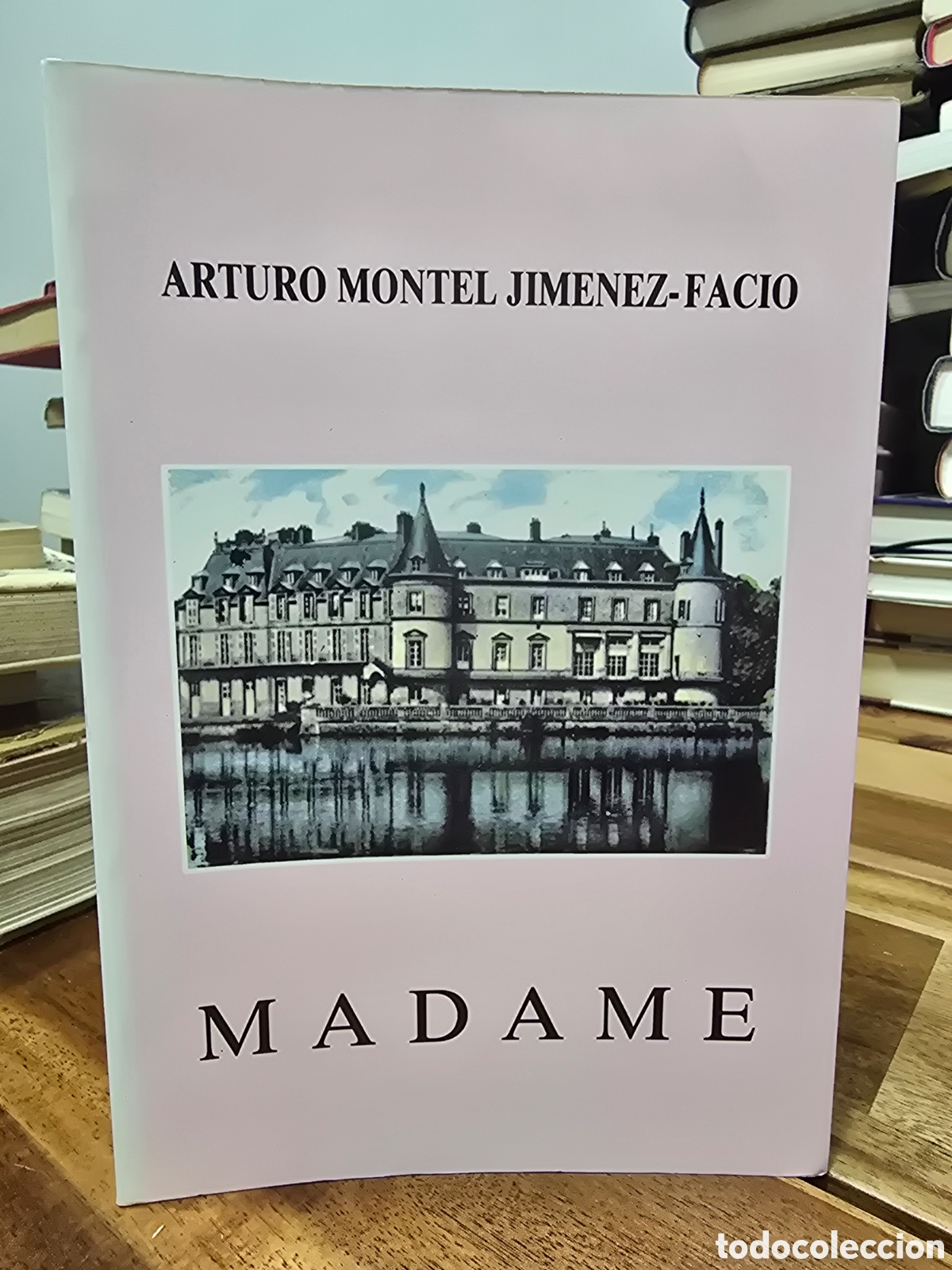 Libros de segunda mano: FIRMADO - MADAME Arturo Montiel Jimenez Facio 1995 novela contempor&aacute;nea