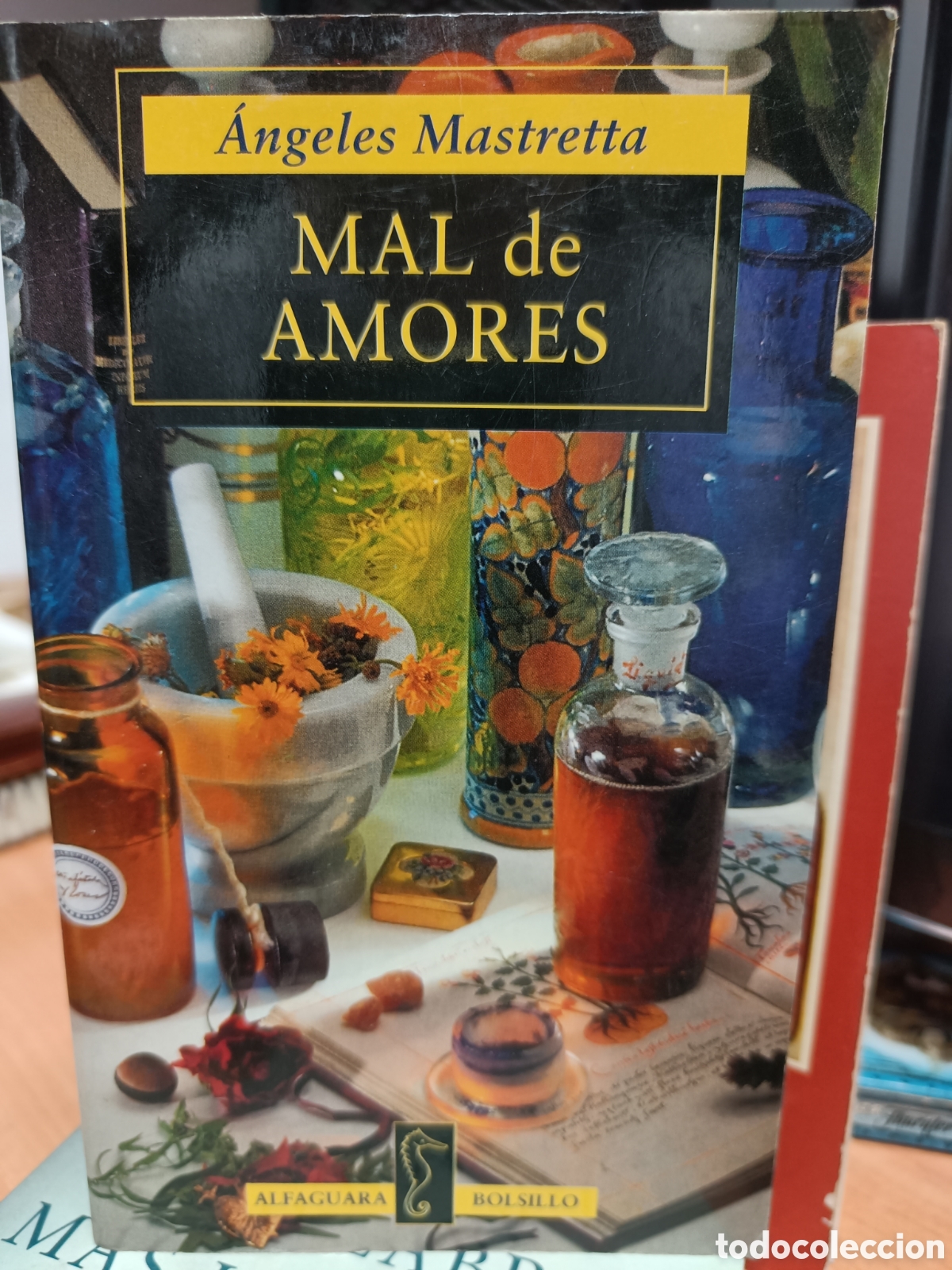 Libros de segunda mano: MAL DE AMORES. &Aacute;NGELES MASTRETTA.