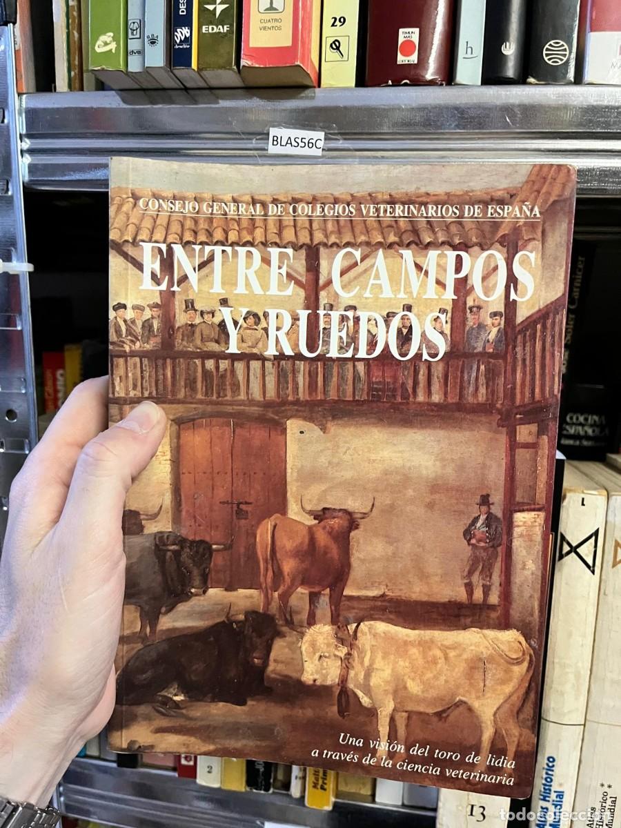 Libros de segunda mano: BLAS56C &ndash; Entre campos y ruedos. Una visi&oacute;n del toro de lidia a trav&eacute;s de la ciencia veterinaria &ndash; C