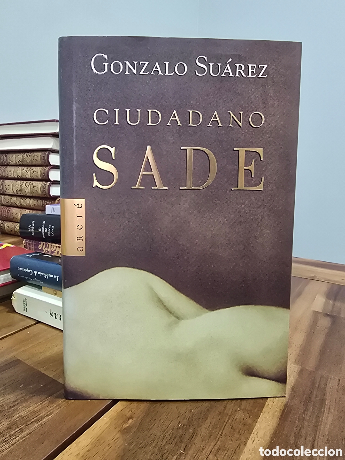 Libros de segunda mano: CIUDADANO SADE Gonzalo Suarez ARETE/DEBATE 1999 novela