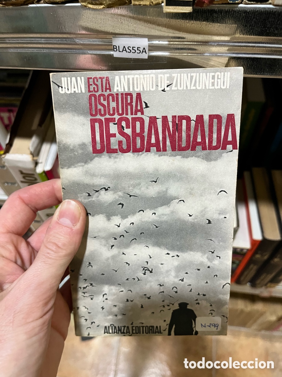 Libros de segunda mano: BLAS55A JUAN ANTONIO DE ZUNZUNEGUI est&aacute; OSCURA DESBANDADA