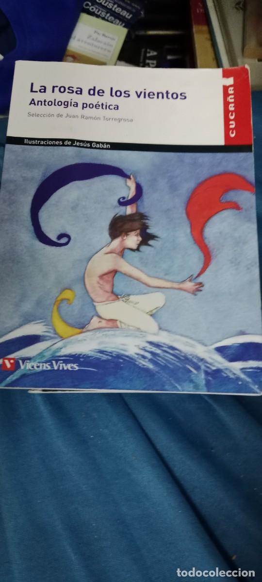 Libros de segunda mano: LA ROSA DE LOS VIENTOS ANTOLOGIA POETICA VICENS VIVES LIBRO GG-UEL