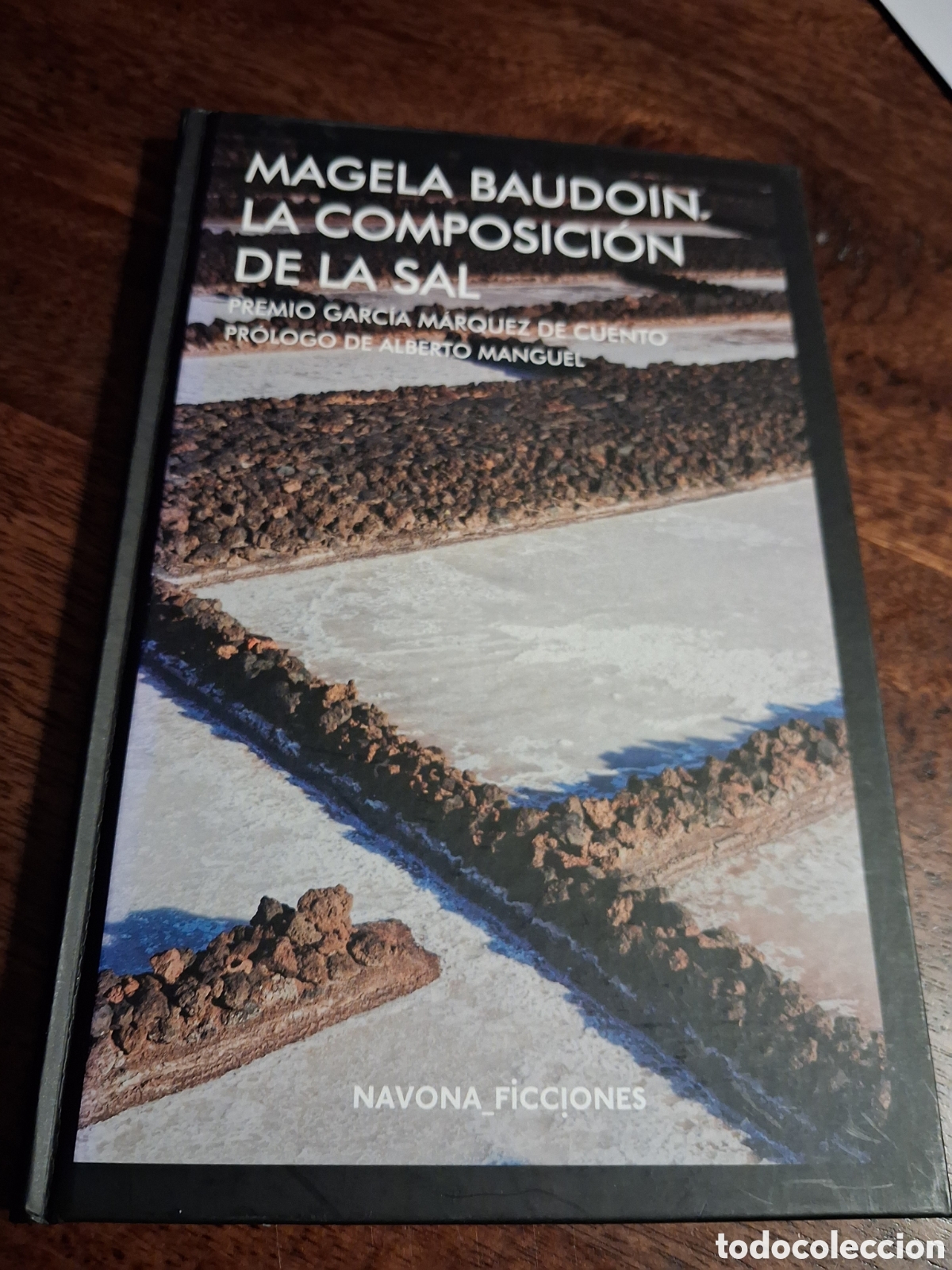 Libros de segunda mano: La composici&oacute;n de la sal, Magela Baudoin