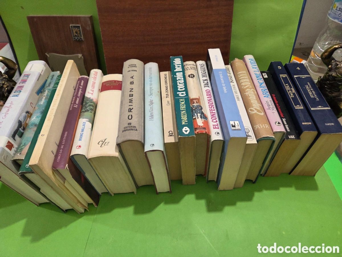 Libros de segunda mano: LOTE N&Uacute;MERO 19...&rdquo;&rdquo;20 LIBROS DE LITERATURA, DIFERENTES EDITORIALES Y DIFERENTES AUTORES&rdquo;&rdquo;....