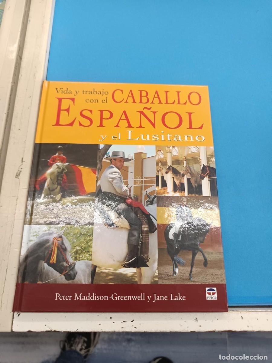 Libros de segunda mano: CABALLO ESPA&Ntilde;OL Y EL LUSITANO (VIDA Y TRABAJO CON EL)PETER MADDISON EDICIONES TUTOR