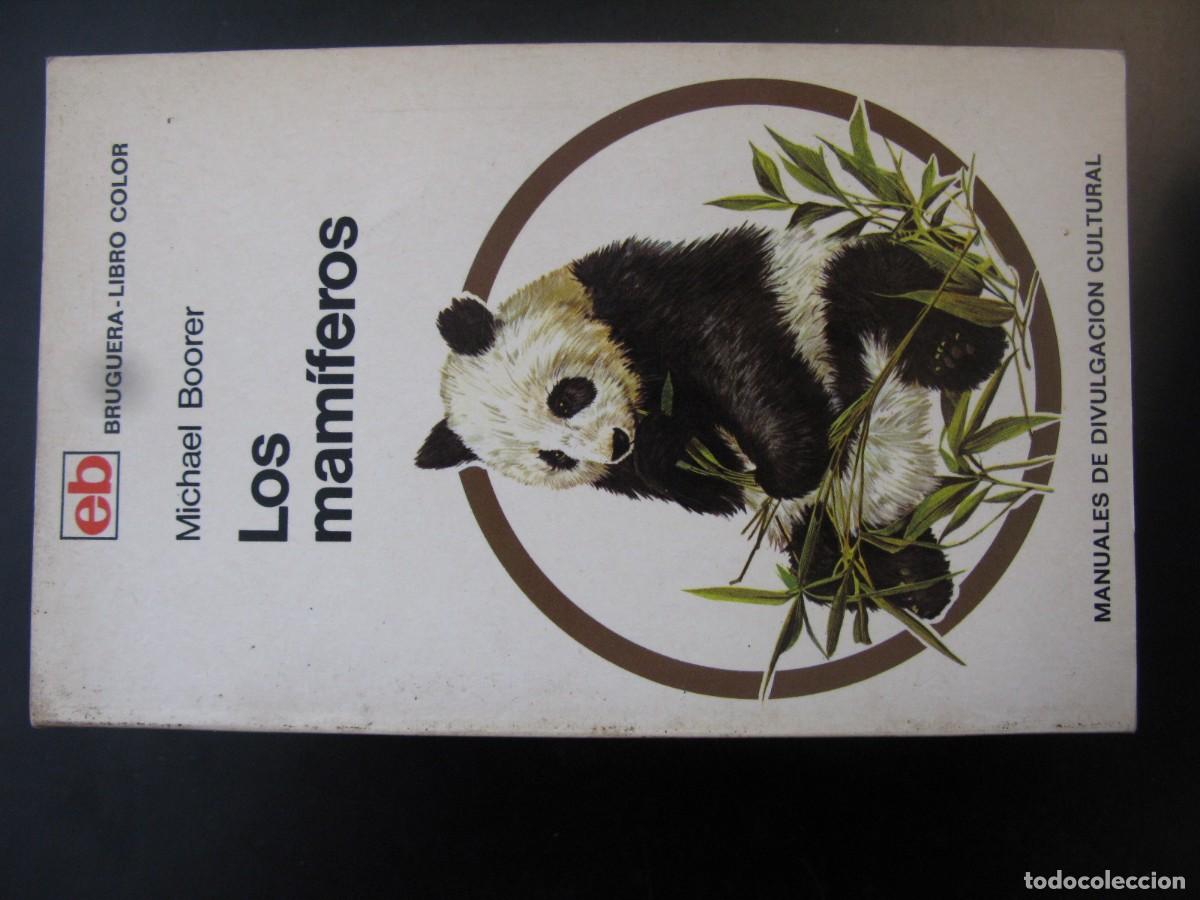 Libros de segunda mano: LOS MAM&Iacute;FEROS. MICHAEL BOORER. MANUALES DE DIVULGACI&Oacute;N CULTURAL. EDITOR BRUGUERA