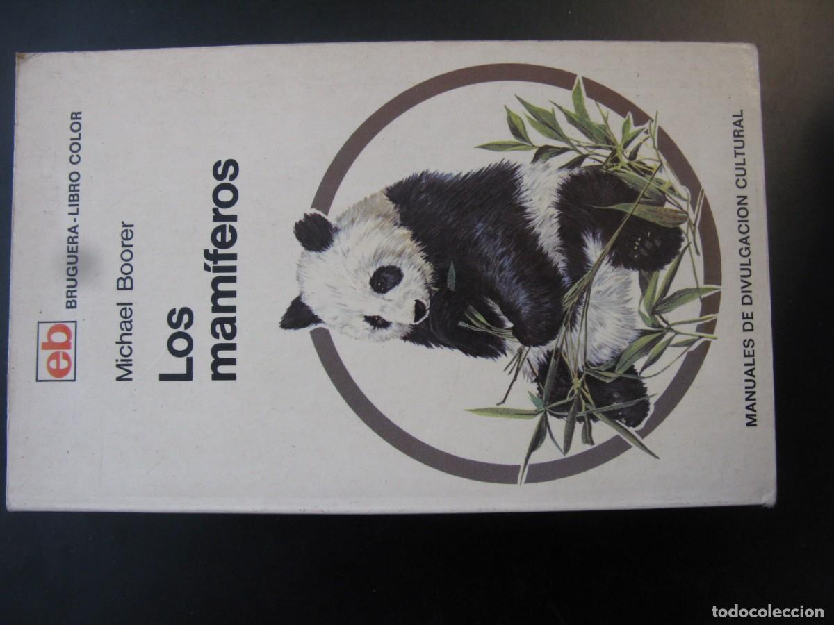 Libros de segunda mano: LOS MAM&Iacute;FEROS. MICHAEL BOORER. MANUALES DE DIVULGACI&Oacute;N CULTURAL. EDITOR BRUGUERA