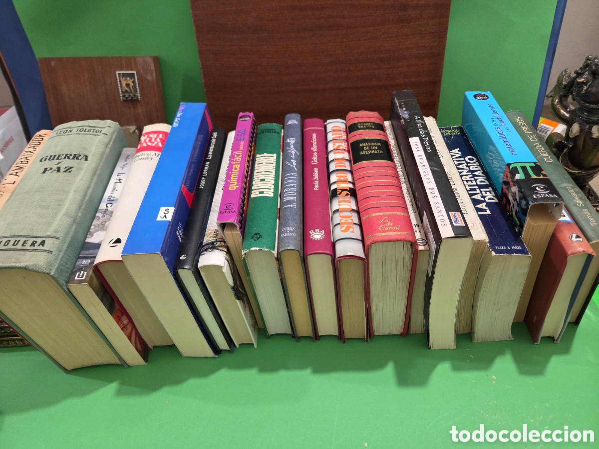 Libros de segunda mano: LOTE N&Uacute;MERO 21...&rdquo;&rdquo;20 LIBROS DE LITERATURA&rdquo;&rdquo;... DIFERENTES AUTORES Y DIFERENTES EDITORIALES...
